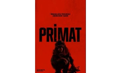 PRİMAT