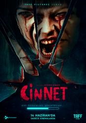 CİNNET