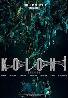 KOLONİ