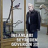 İNSANLARI SEYREDEN GÜVERCİN