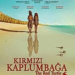 KIRMIZI KAPLUMBAĞA