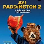 AYI PADDINGTON 2