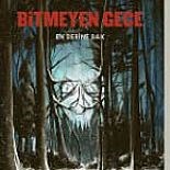 BİTMEYEN GECE