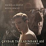 ÇAVDAR TARLASINDAKİ ASİ