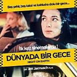 DÜNYADA BİR GECE