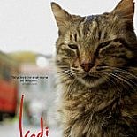 KEDİ