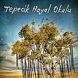 TEPECİK HAYAL OKULU