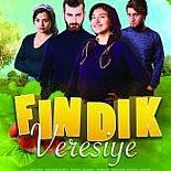 FINDIK VERESİYE