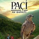 PAÇİ: AV SANATI