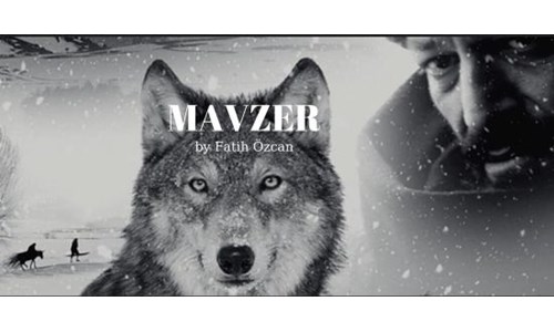 MAVZER