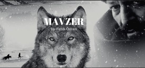 MAVZER